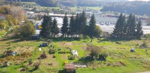 Mirna - pogled iz blokov na Sokolski na vrtove, kjer bosta zrasla dva nova bloka, foto Lapego